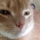 Entry image for Andy