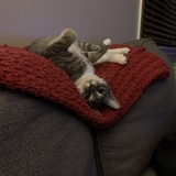 Entry image for Luna