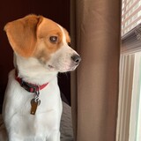 Entry image for Precious