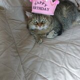 Entry image for Tessa