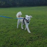 Entry image for Finnegan 