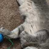 Entry image for Emmy