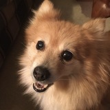 Entry image for Peachy