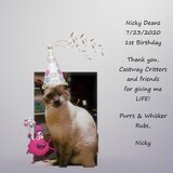 Entry image for Nicky Deans