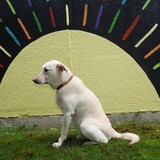 Entry image for Sir Isaac Newton