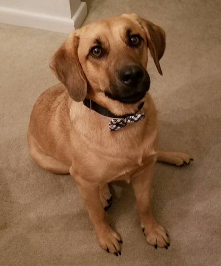 Entry image for Eli. Clicking this image will show a larger photo