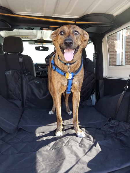 Entry image for Zoie Rose. Clicking this image will show a larger photo