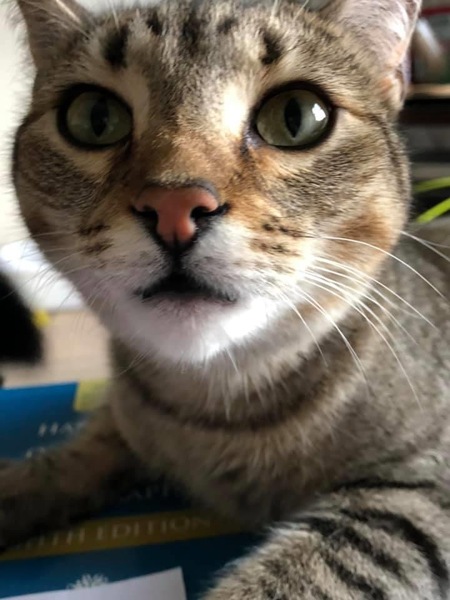 Entry image for Chase. Clicking this image will show a larger photo