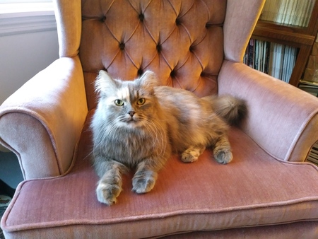 Entry image for Cassie. Clicking this image will show a larger photo