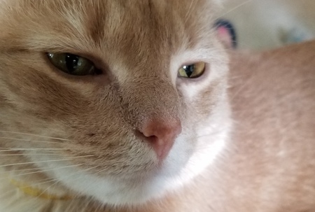 Entry image for Andy. Clicking this image will show a larger photo