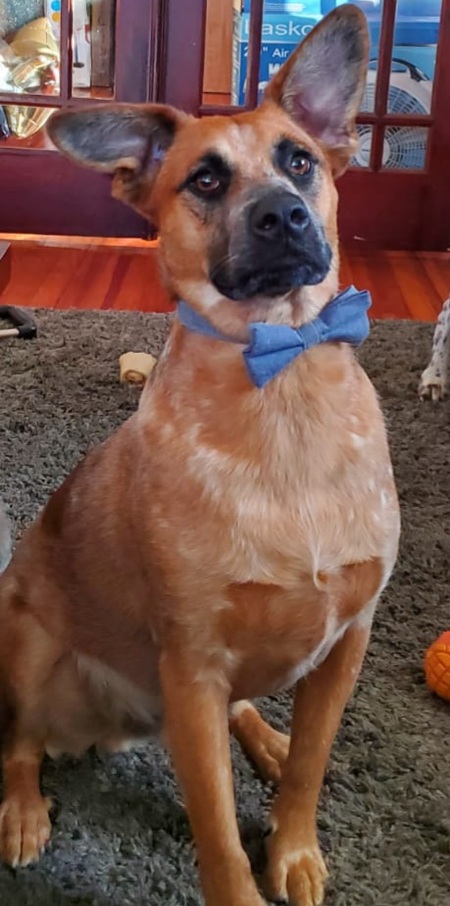 Entry image for Lincoln. Clicking this image will show a larger photo