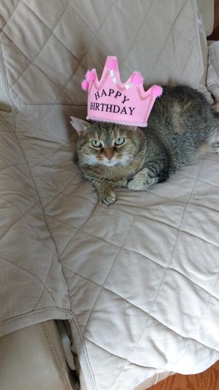 Entry image for Tessa. Clicking this image will show a larger photo