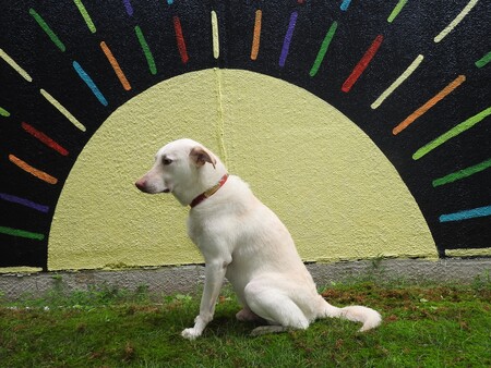 Entry image for Sir Isaac Newton. Clicking this image will show a larger photo