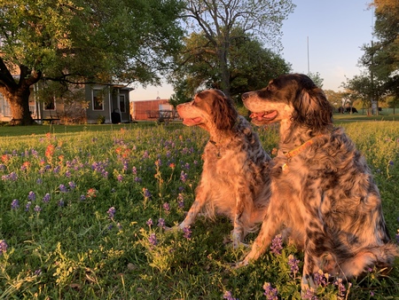 Maggie and Lizzie