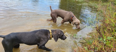 Jasper and Grace