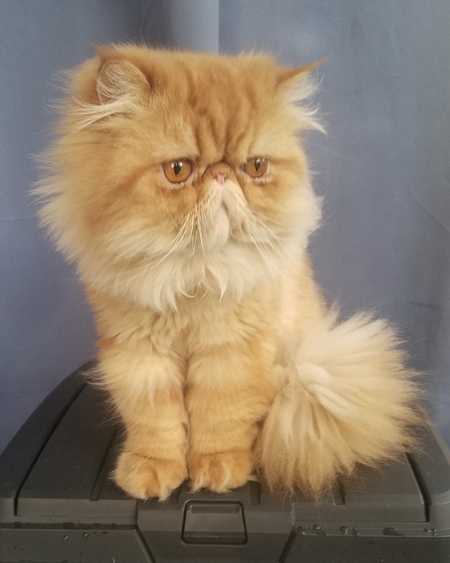 Sweet baby Max