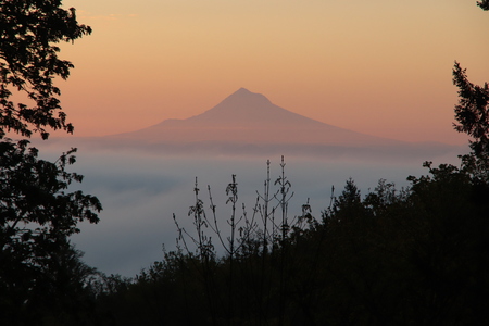 No name trail with top view of Mount Hood at Sunrise 