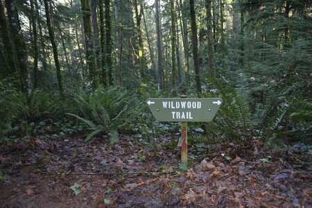 Wildwood Trail