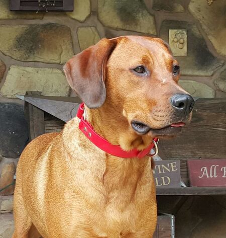Roxy