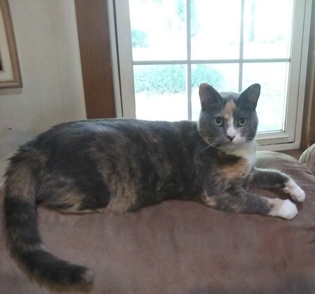 Bonnie