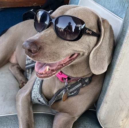 Roxy