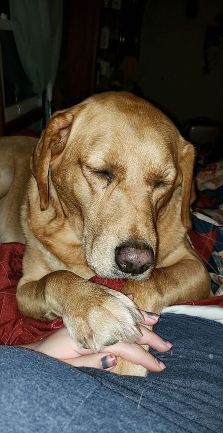 Marmaduke "Marmie"