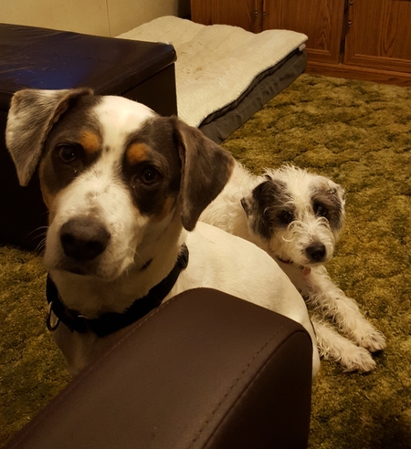 Annie & Oakley