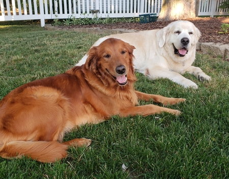 Shayla and Sherman