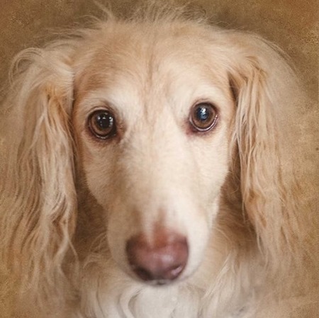 Dudley