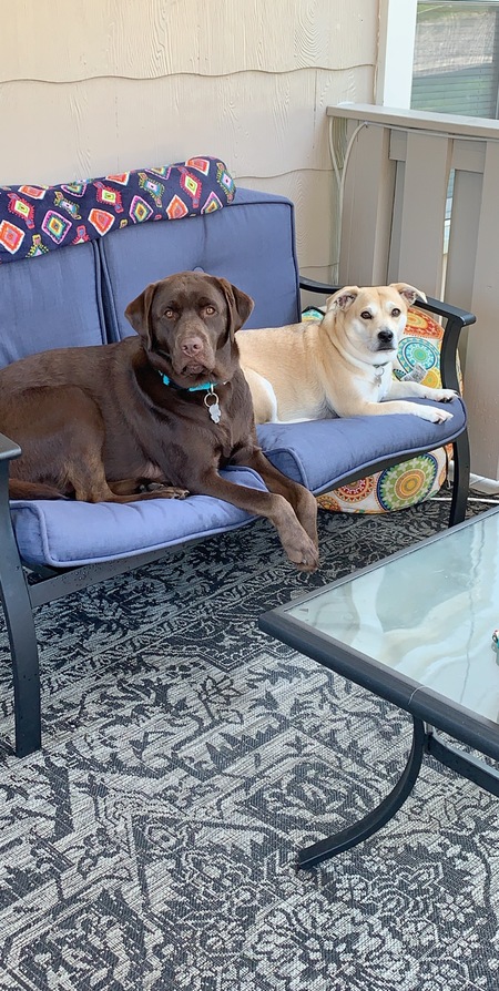 Hershey & Phoenix