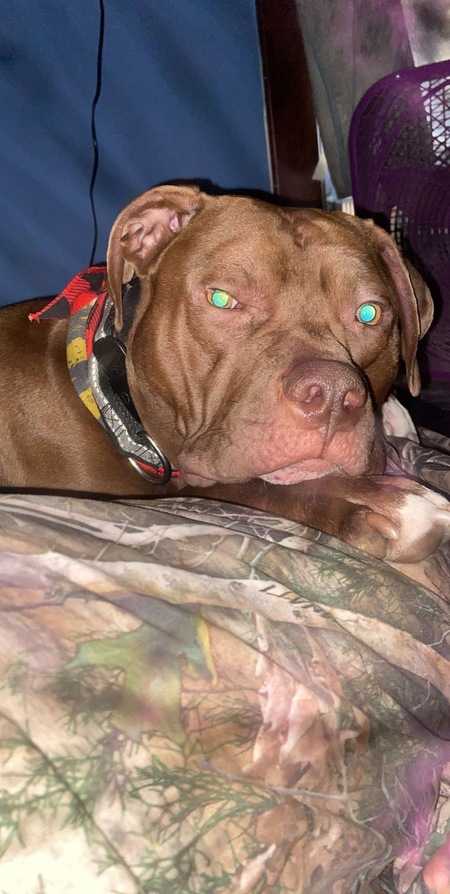 Copper