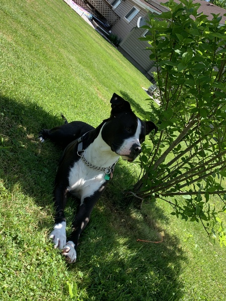 Zeke
