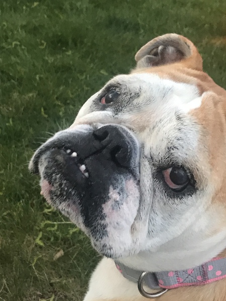 Rosie