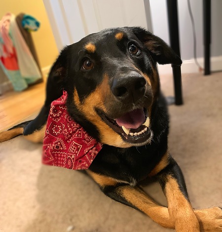 Finn