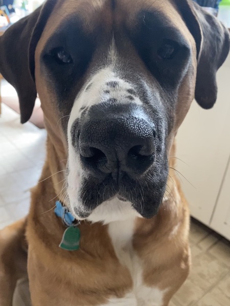Rusty