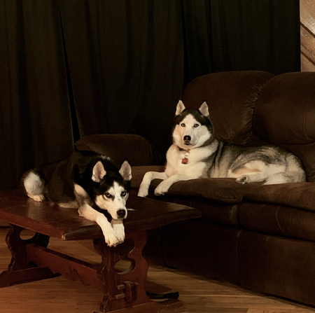 Nala and Everett