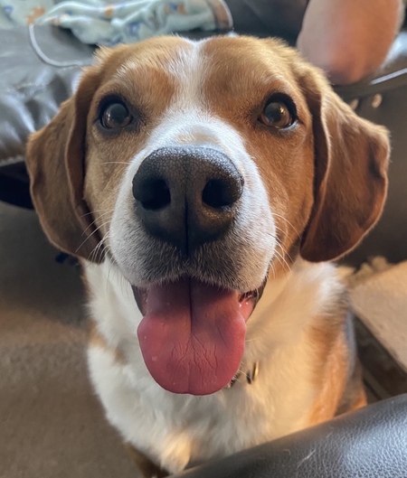 Dexter