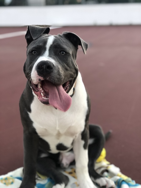 Beau