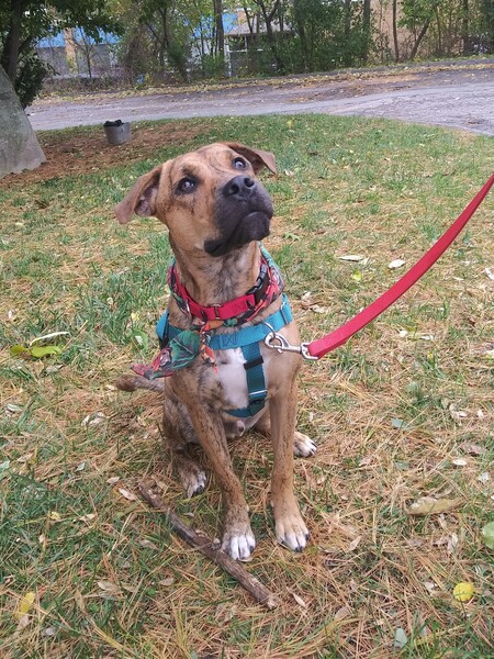 Axle