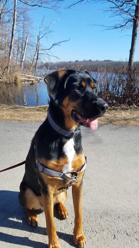 Diego