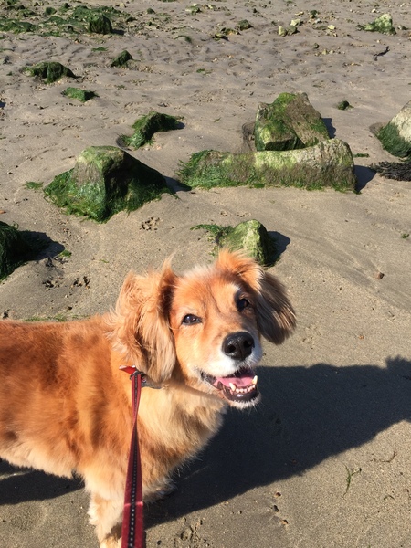 Heidi