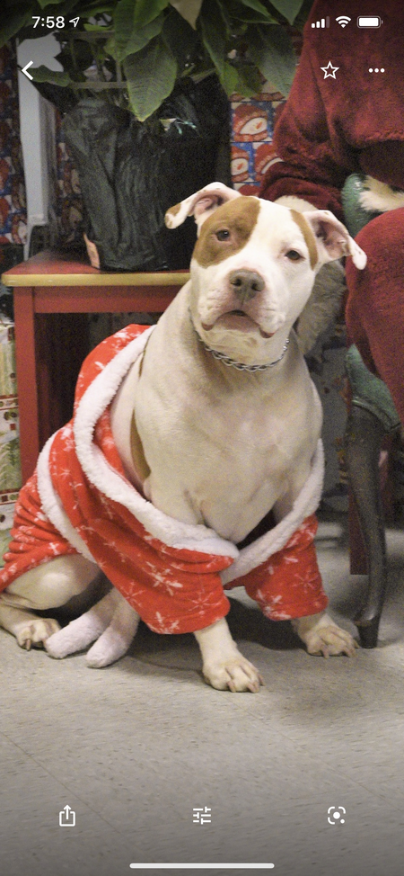 Rosco Maxwell