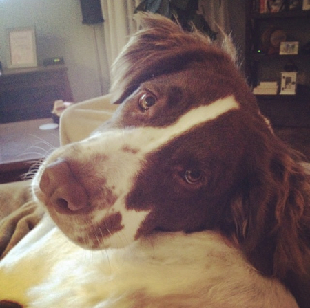 Duncan