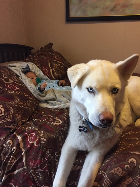 Duke