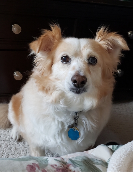 Vinny