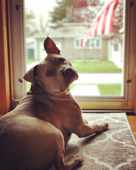 Macho