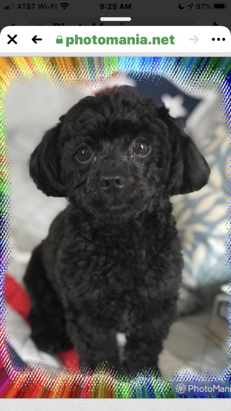 Minnie