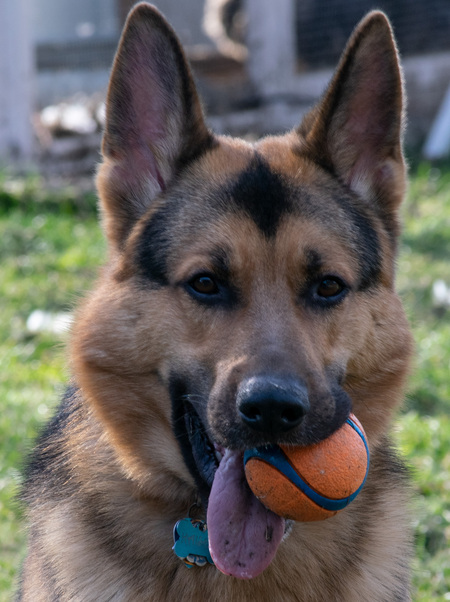Kaiser