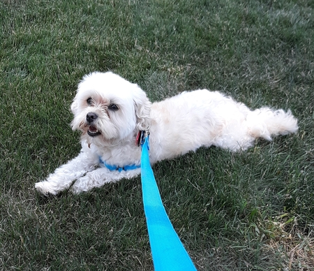 Grady