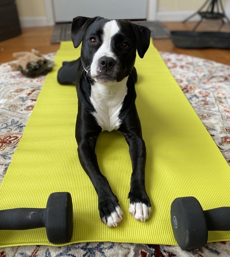 Maggie Moo